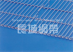 乙型網(wǎng)帶成品圖